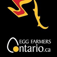 UG Curling (@gryphoncurling) 's Twitter Profile