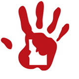 Board Certified Orthopedic Surgeons
Specializing in finger to shoulder injuries and pathology