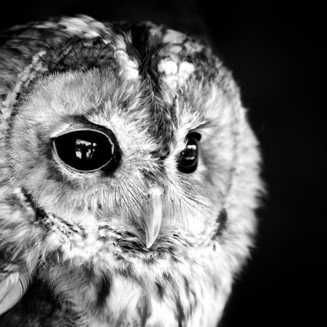 85Kurbatov's profile picture. 