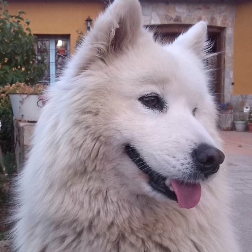 bema669's profile picture. 