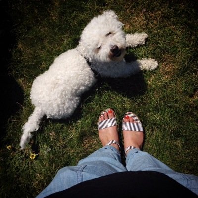PhD, makeup/candle fanatic/blogger, loves art, photography, travelling, good food, coffee addict and Bichon Frisé lover.