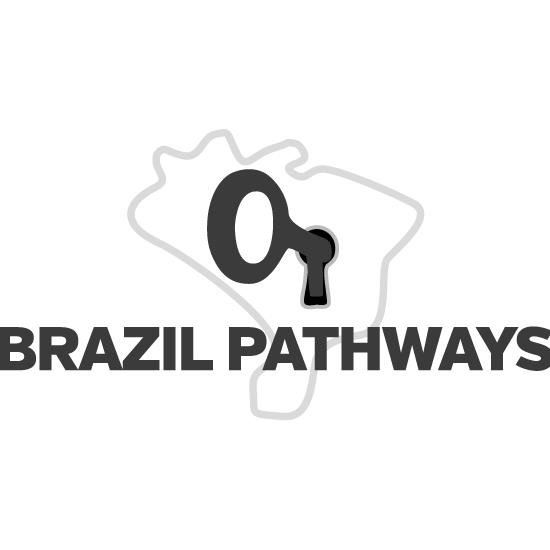 We help foreign companies to establish their operations in Brazil or to identify suitable local acquisition targets.