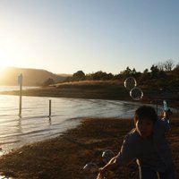 Ken 🇦🇺Big4 監査法人勤務 | 元高校教師 (@japaralian_gto) 's Twitter Profile
