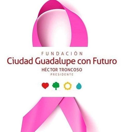 Fundación motor de desarrollo social. Teléfono (81) 83 52 35 00                                 info@ciudadguadalupeconfuturo.org