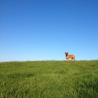 Heather Beaumont (@hejbelle) Twitter profile photo