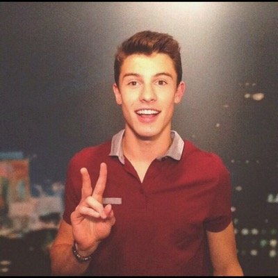 shawn mendez