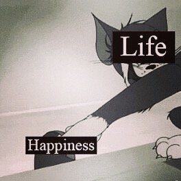 我什么都不是。