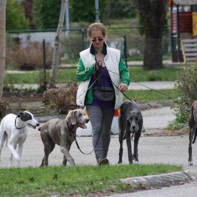 renberg123's profile picture. 