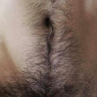 Excel (@excel_extrada) 's Twitter Profile