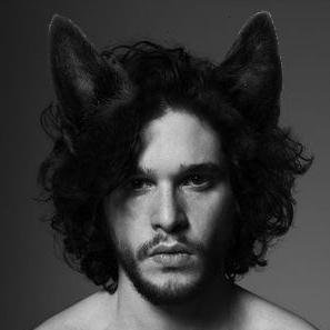 KitHarringdog's profile picture. Hi! I am Kit, and I am a good boy. Will you play fetch with me? (Doggy!Kit)