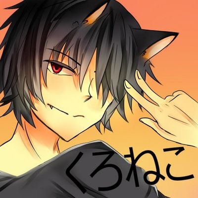 くろねこ＠閃光の騎士団NO.20さんのプロフィール画像