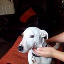 Andrew Ledger - @andrewledger63 - Twitter