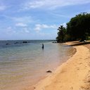 Michael Shaw - @mhshaw1 - Twitter