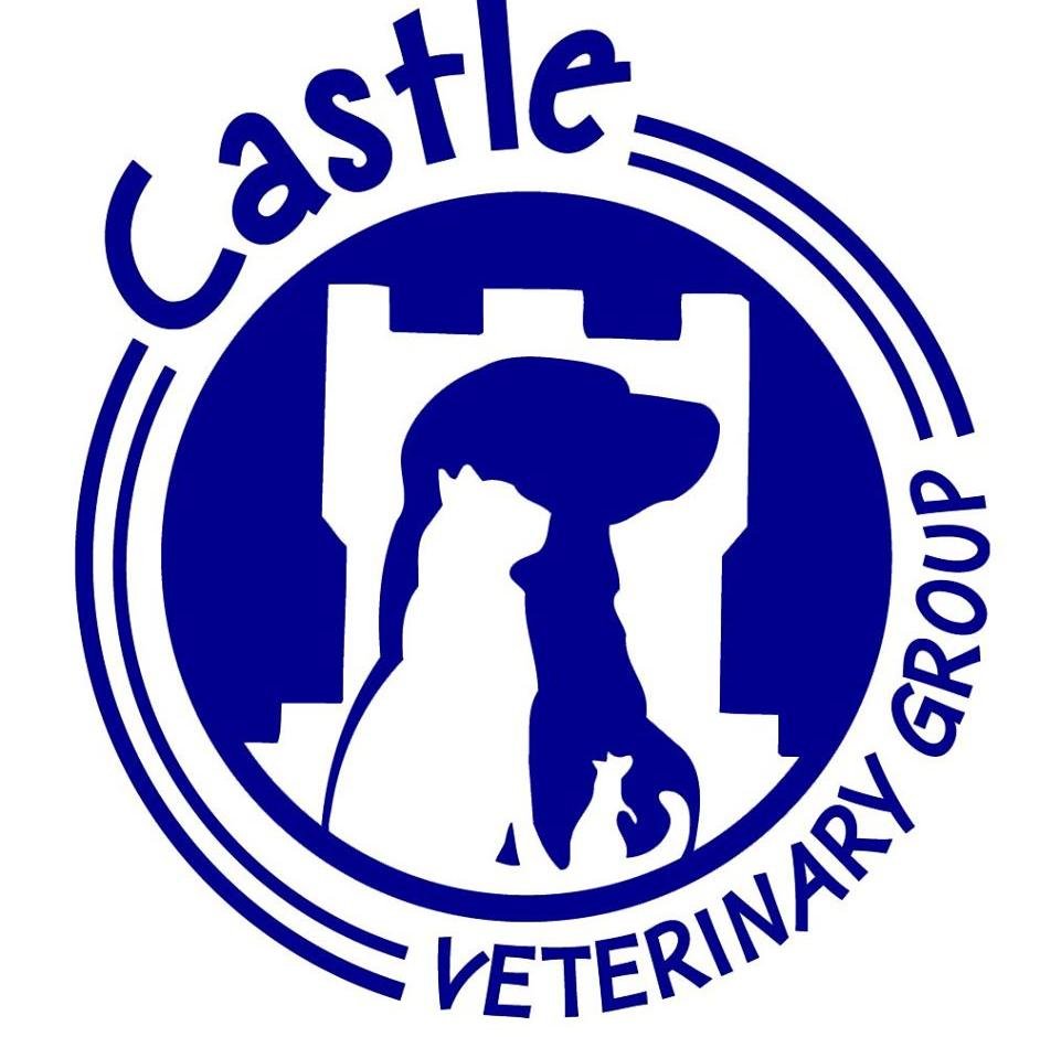 Castle Veterinary Group offers a wide range of modern veterinary services to assist you in keeping your pet fit and healthy.