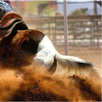 Just a cowgirl in the middle of one of those flyover states. If you decide to try to find me look for the dirt flying. I'll be the one with the Coors in my hand