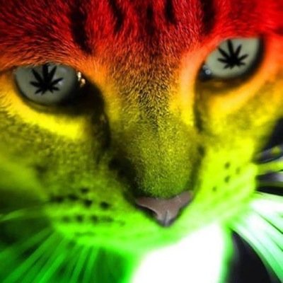 RromekK's profile picture. 