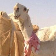‏‏‏احب الي يتبعني