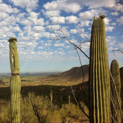 HikingAriz's profile picture. Hiking adventures in the beautiful and diverse Grand Canyon State.
