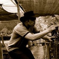 charley wheelock (@woodblockchoc) 's Twitter Profile