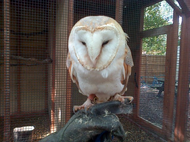 704w2Takeda1185's profile picture. My Twitter account was recently hacked. This is my attempt to retrieve. I do never send any sexually explicit contents if you've ever received from my account.