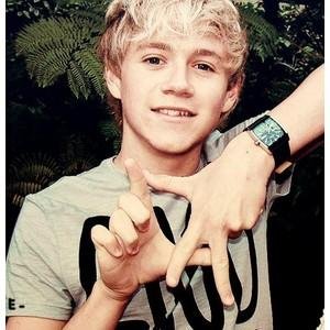 Rooh_1D_Lovely's profile picture. Ponycornia voladora de travesías mega ultra super silvestres