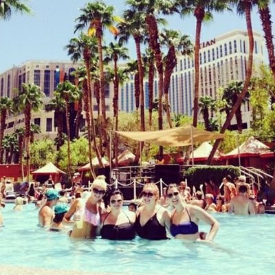 lizastremick's profile picture. 