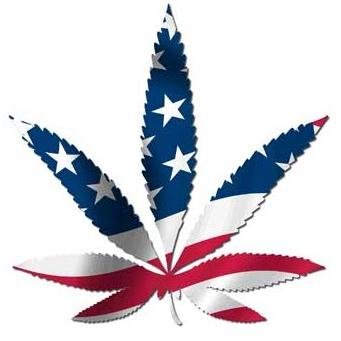 #WhyNotPot - Grassroots cannabis advocacy based in D.C. We advocate for legalization, cannabis tax/banking reform, and consumer/small business protections.