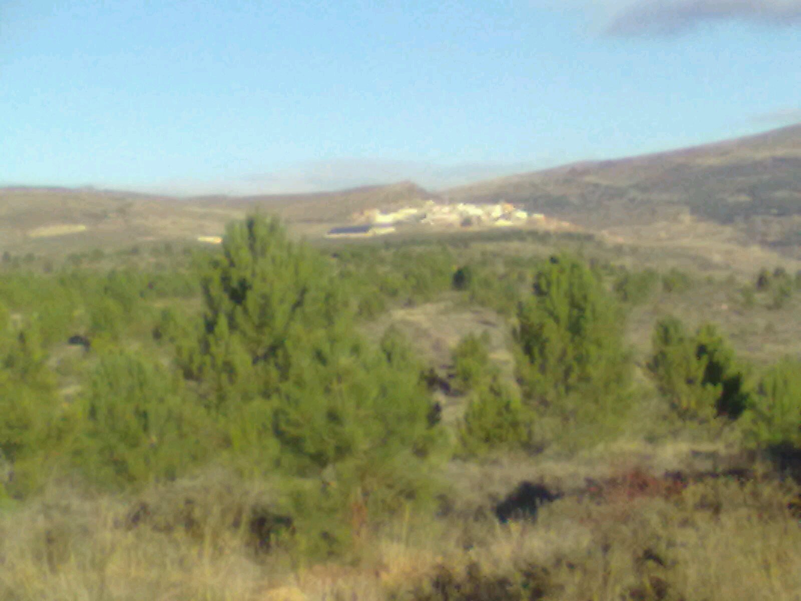 Rural, rural nada más.
La revolución es volver a los pueblos.