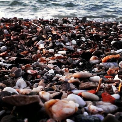 ucarikacarbalik's profile picture. 