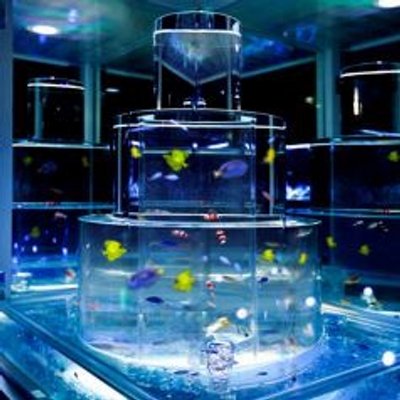 難波 青の洞窟 Nmb Aodoukutsu Twitter 難波 青の洞窟 Nmb Aodoukutsu Twitter