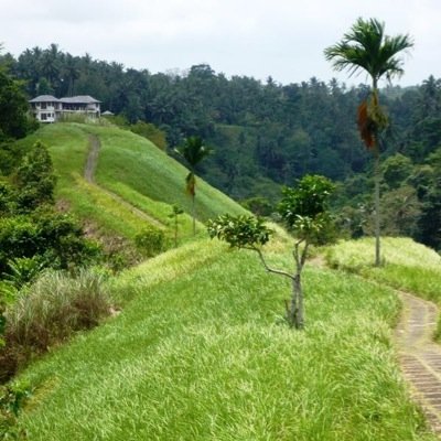 YogiPhil's profile picture. Yogi, teacher, to be human the great gift: samadhi siddhi isvarapranidhanat Patanjali II s45: submit to God, serve others with passion - wisdom & bliss is yours