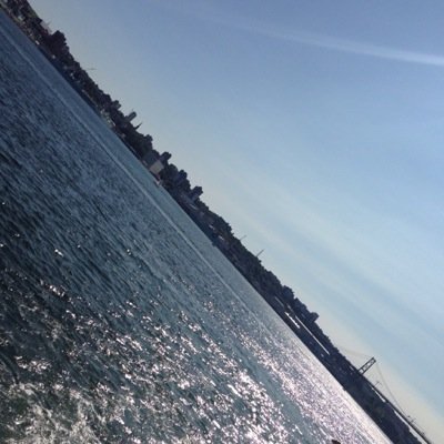 Profile Picture of NOT Whitman2020 For Mayor (@DaveFultzMusic) on Twitter