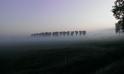 buitenbaan's profile picture. 