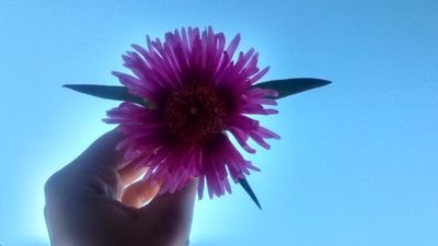 anitramrf's profile picture. mi felicidad mi ketchup ❤️