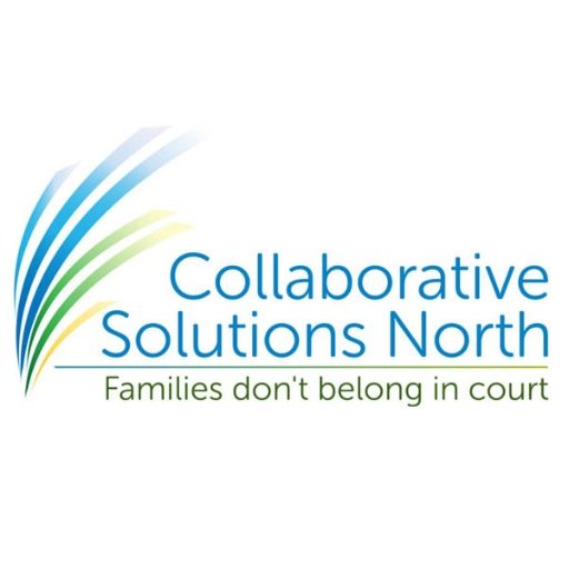 CSN is an association of like-minded professionals who are committed to assisting individuals in working through legal disputes without going to court.