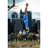 Profile Picture of Harry Giles (@@TheReal_HG3) on Twitter