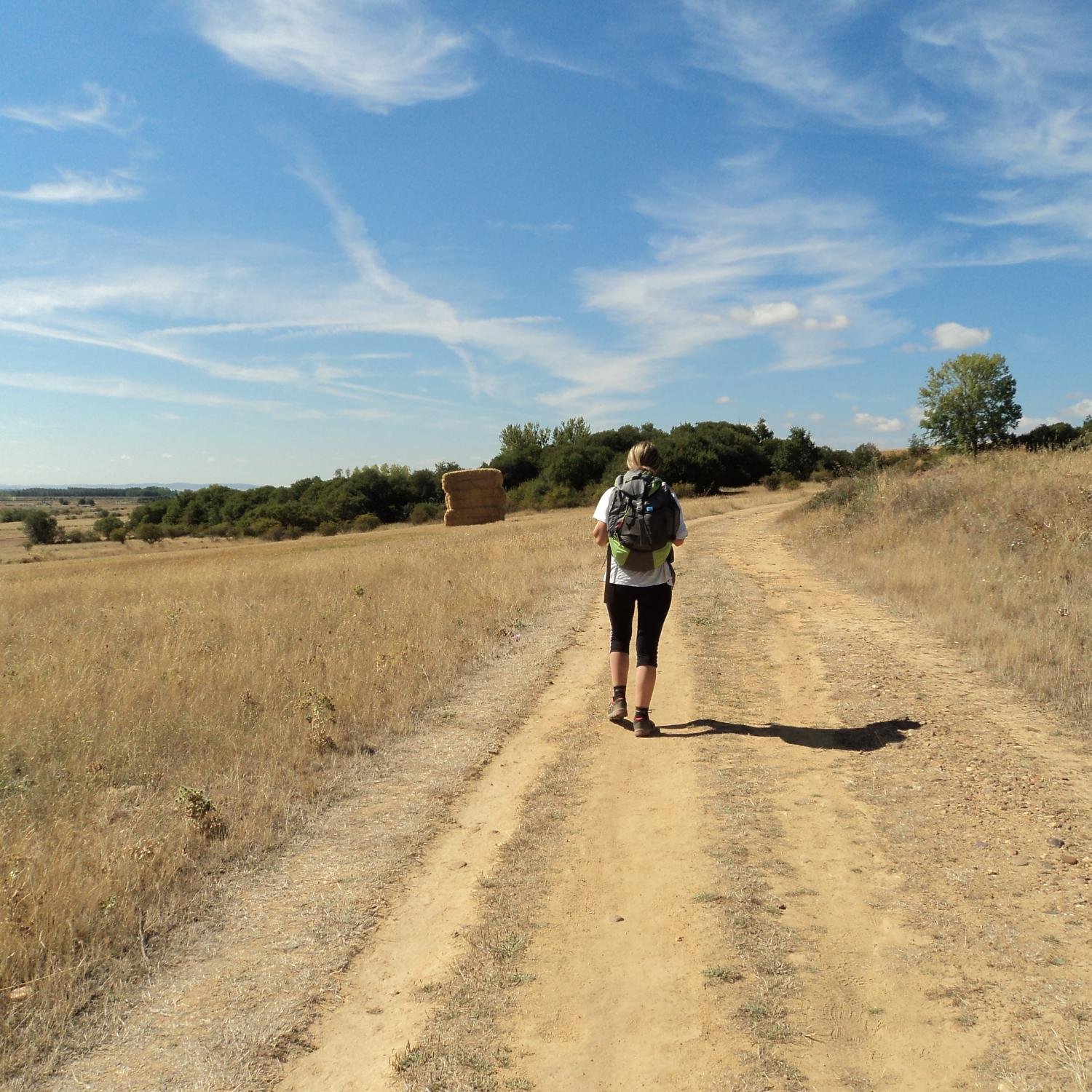 claudysk84's profile picture. Procuro marcar nuevos puntitos en mi día a día.