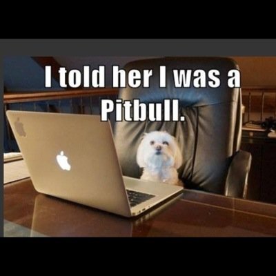 JackKarepa's profile picture. My words, thoughts and opinions as is