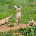 Bay Lee - @BayLee1914 - Twitter