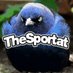 بندر حفظه الله (@thesportat) Twitter profile photo بندر حفظه الله (@thesportat) Twitter profile photo