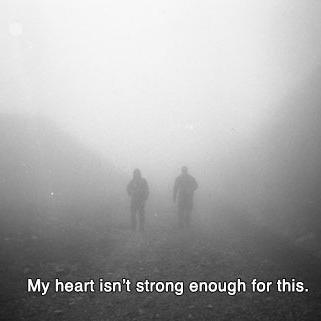 DONT FOLLOW ME, FOLLOW; @fxckheadpsyco