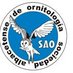 SAO Albacete (@sao_albacete) Twitter profile photo SAO Albacete (@sao_albacete) Twitter profile photo