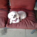 Scott Sensabaugh - @25542607d97d4f2 - Twitter