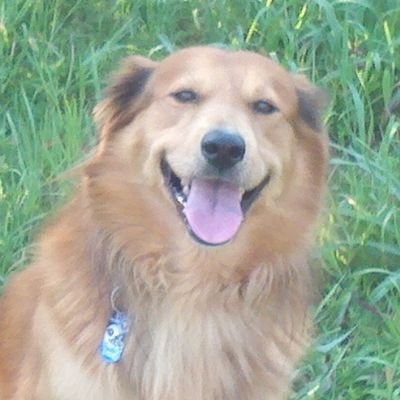 Rustyp615's profile image
