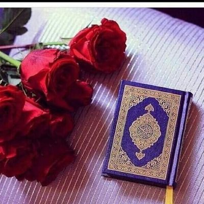 ‏‏لن آبحث عن آلرآحلين : سَ اطمِس خطواتُهم حتى لا يجرفني آلحنين لهُم !