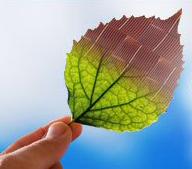 The 5th annual Organic Photovoltaics conference 2011- taking place September 20-21