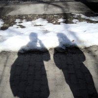Searsapple (@sparrersway) Twitter profile photo