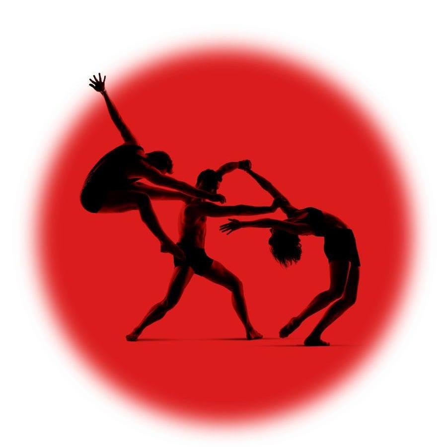 ProArteDanza, a visionary contemporary dance company, created to showcase the best dance artists from both ballet and modern dance background.