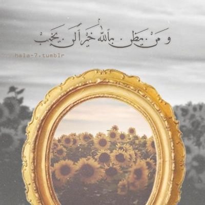 soma5191's profile picture. على سبيل اﻻكتفاء ﻻأشبه احدا