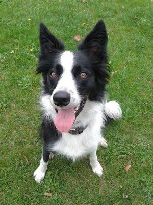 Sam_R_Davies's profile picture. 